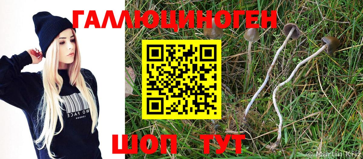 Псилоцибиновые грибы ЛСД  Вход с VPN  Тамбов 