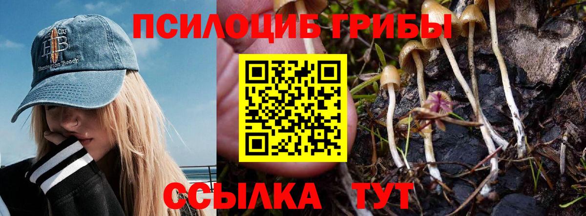 Псилоцибиновые грибы ЛСД Тамбов